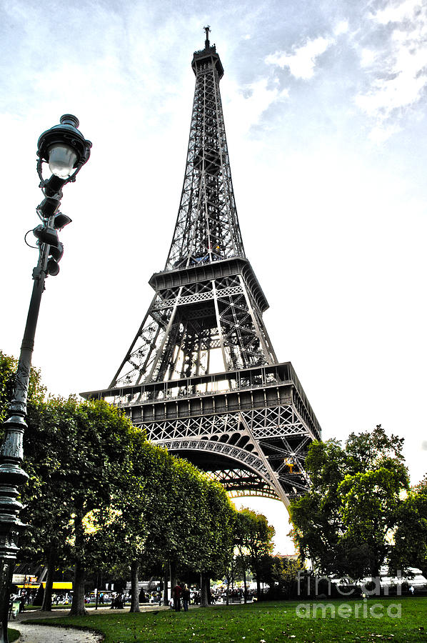 Eiffel Tower from park  Photograph by Micah May