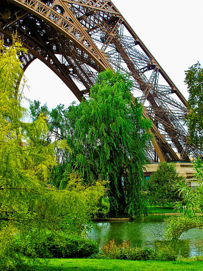 Eiffel Tower Garden Photograph