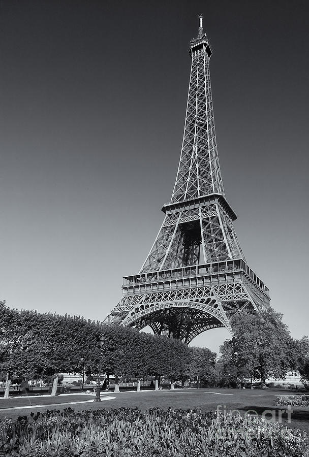 Eiffel Tower in Spring III Photograph by Clarence Holmes