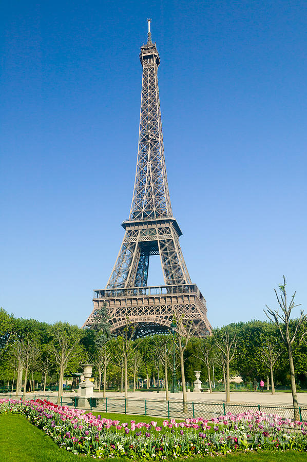 Eiffel Tower Photograph - Eiffel Tower in Spring IV by Clarence Holmes