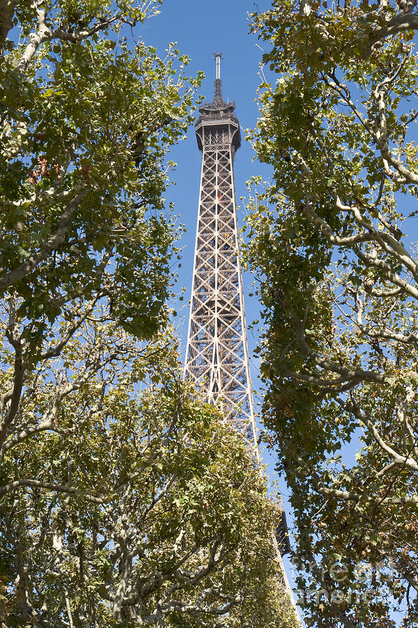 Eiffel tower summit Photograph by Fabrizio Ruggeri