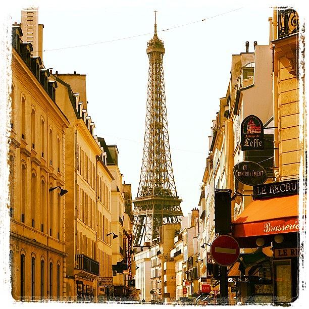 Paris Photograph - Eiffel Tower  by Tammy Berendzen