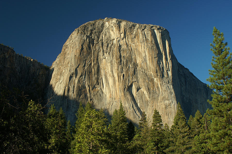 El Cap Photograph by David Armentrout