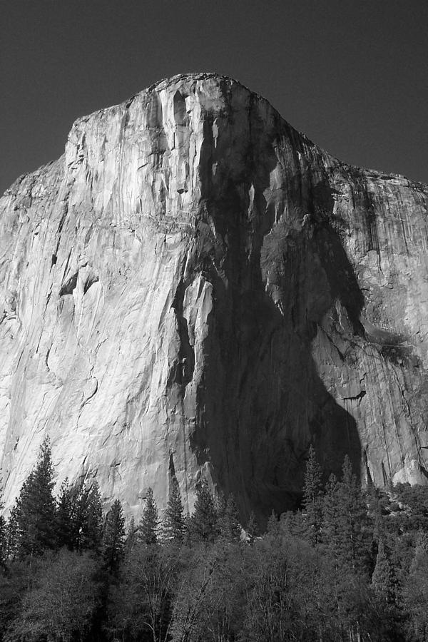 El Cap Face On Photograph by Eric Tressler