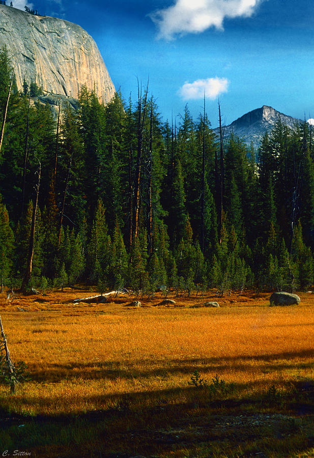 El Cap in Yosemite Photograph by C Sitton