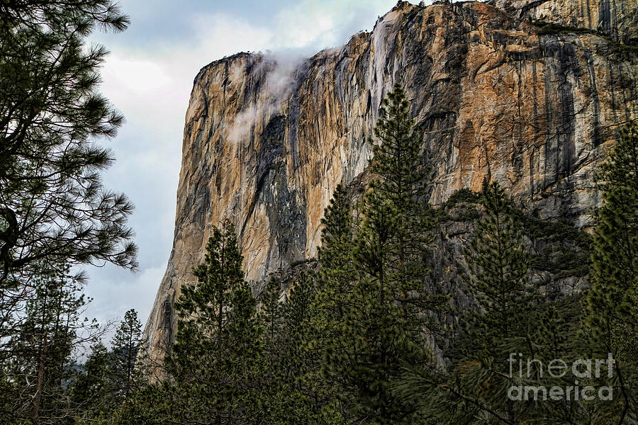 El Capitan in Yosemite Photograph by Edward R Wisell