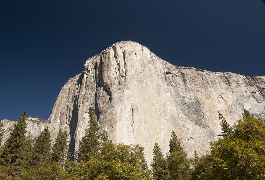 El Capitan Photograph by Richard Shelton - Fine Art America