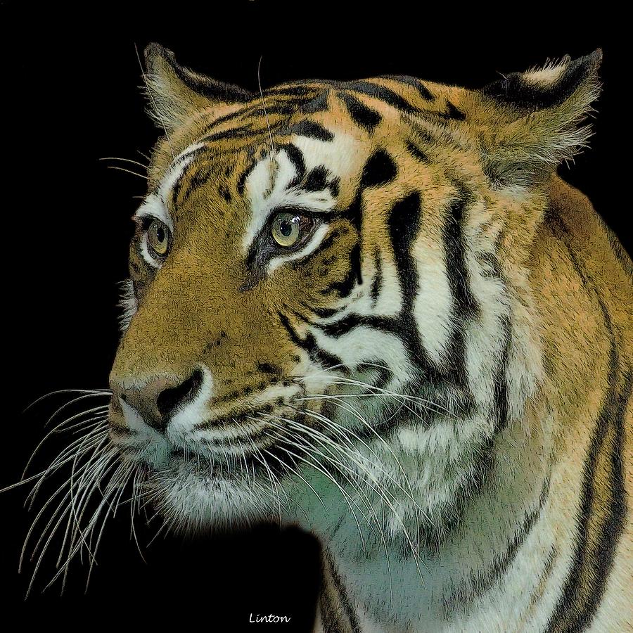 El Tigre 2 Digital Art by Larry Linton