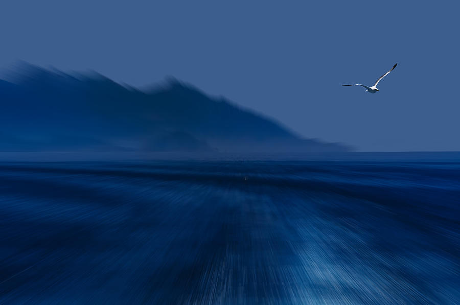 ELBA ISLAND - Flying away - ph Enrico Pelos Photograph by Enrico Pelos