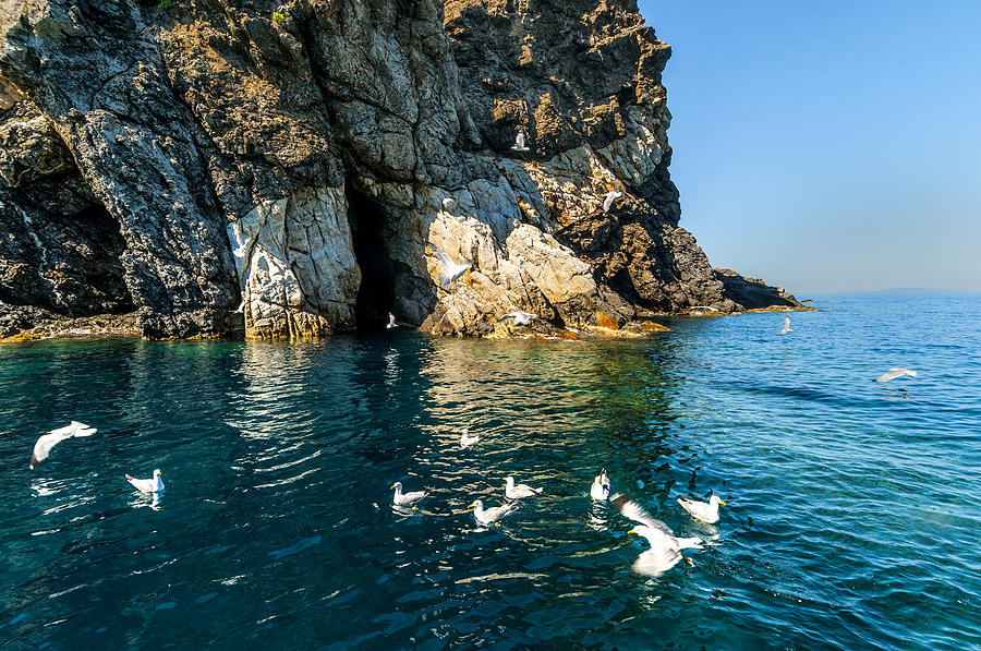 ELBA ISLAND - Seagulls coast 3 - - Costa dei Gabbiani 3 - ph Enrico Pelos Photograph by Enrico Pelos
