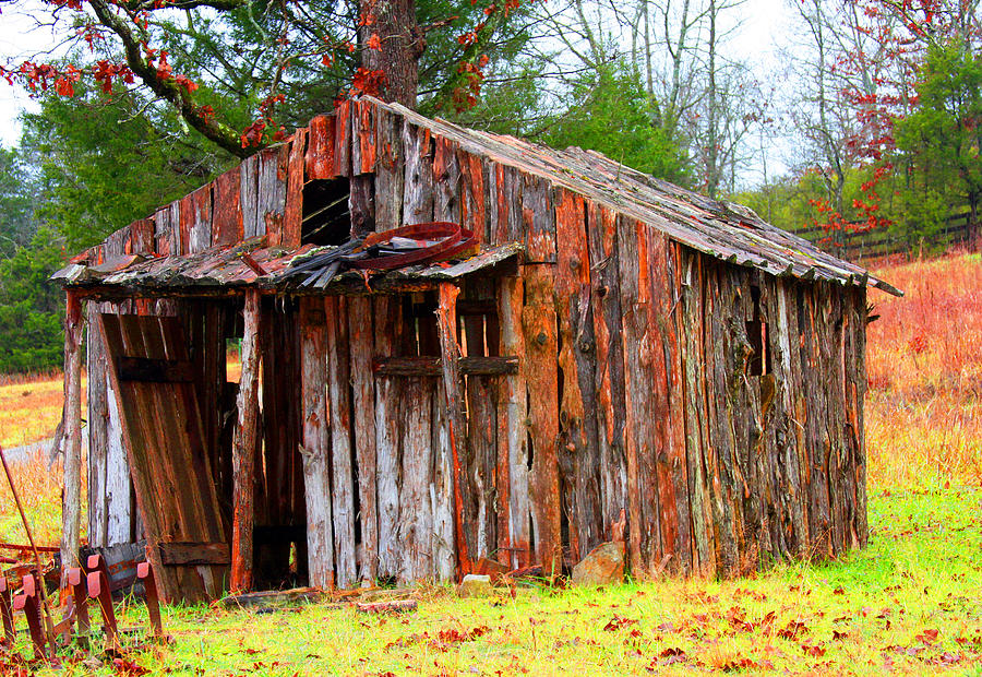 Elderly Shed Photograph by Marie Jamieson