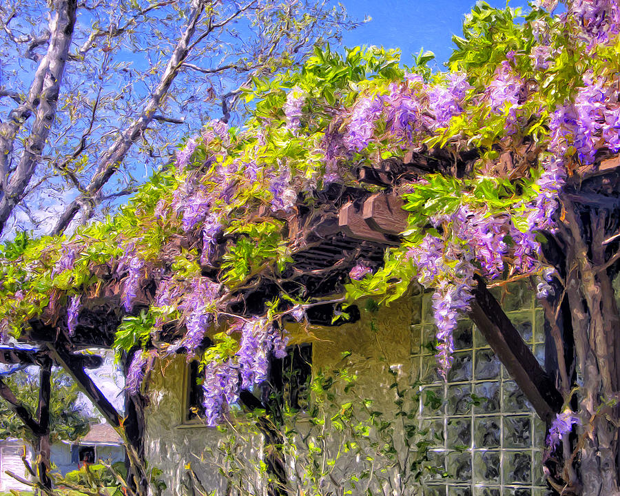 Eleanors Wisteria Painting by Dominic Piperata