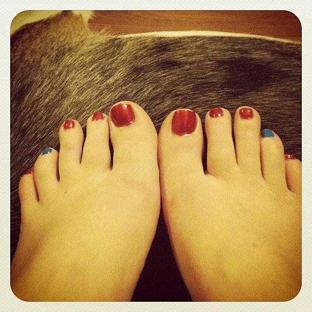 Election Season Toes! And Yes, Thats Photograph by Shelley Rossetter