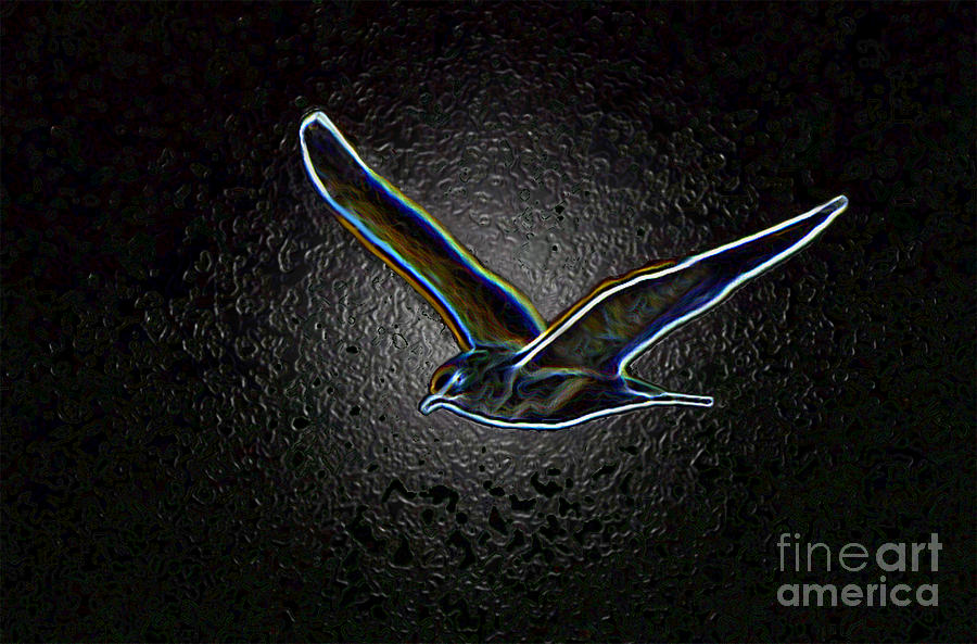 Seagull Photograph - Electric Seabird by EGiclee Digital Prints