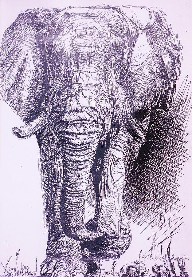Elephant arriving Drawing by Cecilia Putter