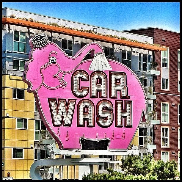 Sign Photograph - Elephant Car Wash by T Catonpremise