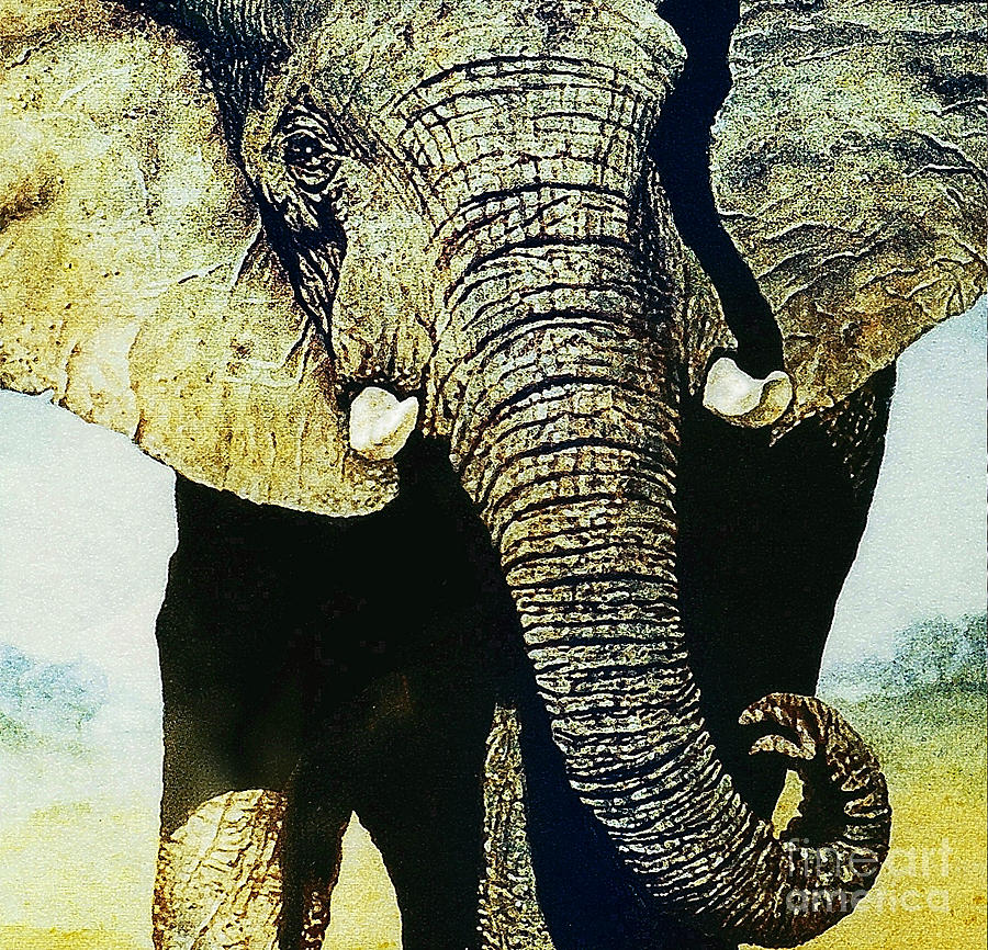 Elephant Close-Up Painting by Hartmut Jager Elephant Close-Up Painting by Hartmut Jager