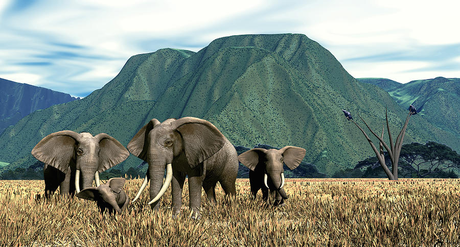Wildlife Digital Art - Elephant Country by Walter Colvin