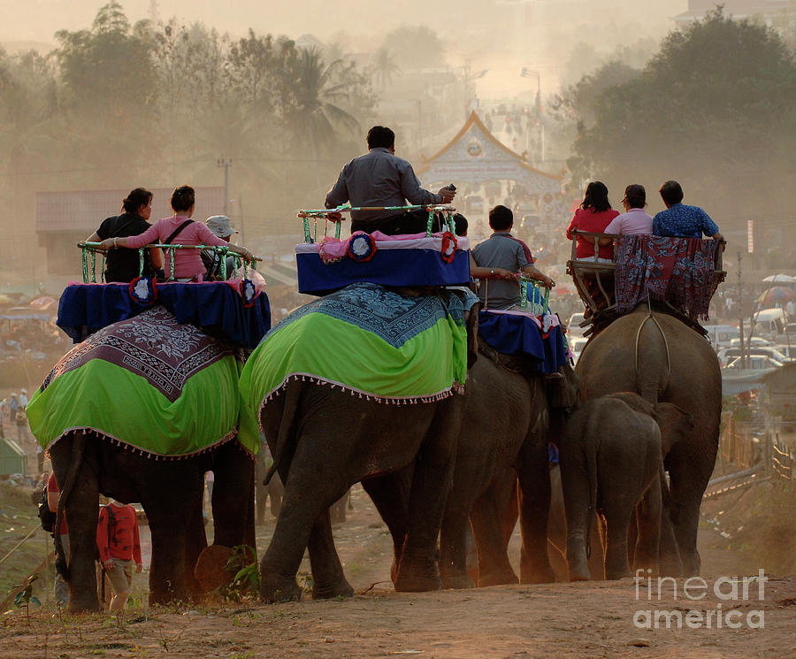 Elephant Festival Laos Photograph by Bob Christopher