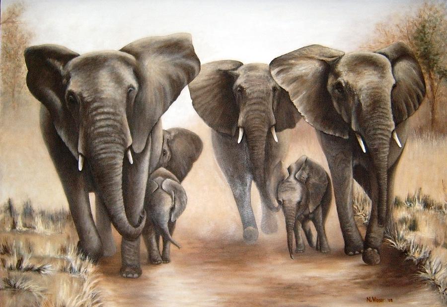 Elephant Painting - Elephant Heard by Nellie Visser