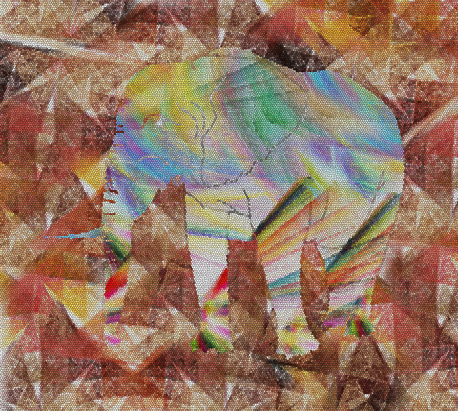 Elephant II Digital Art
