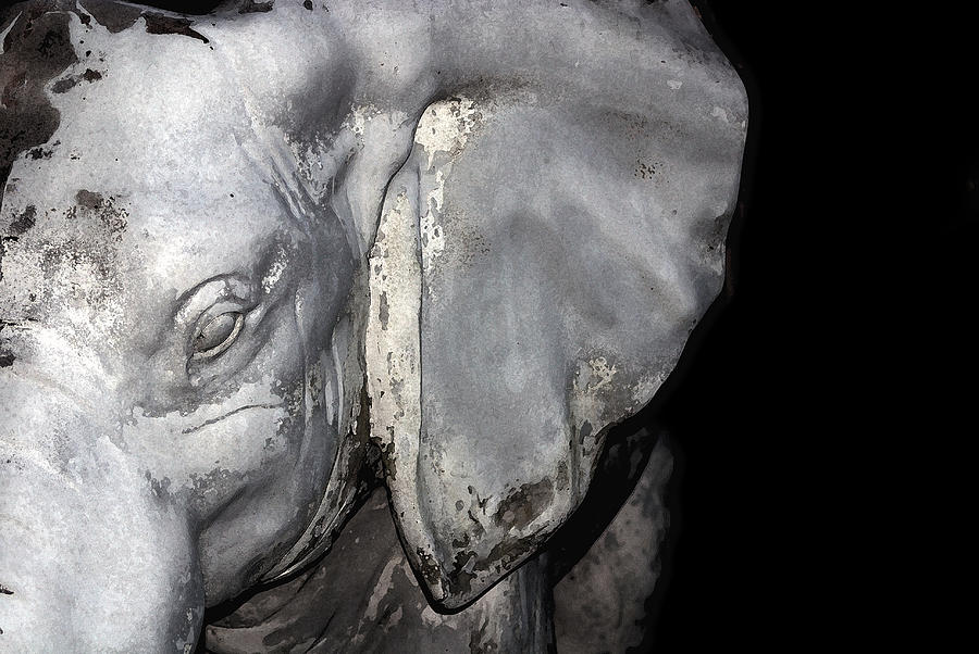 Elephant In Stone Photograph By Devin Rader Fine Art America