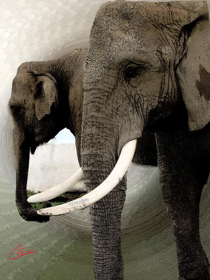 Nature Painting - Elephant Meet by Colette V Hera Guggenheim