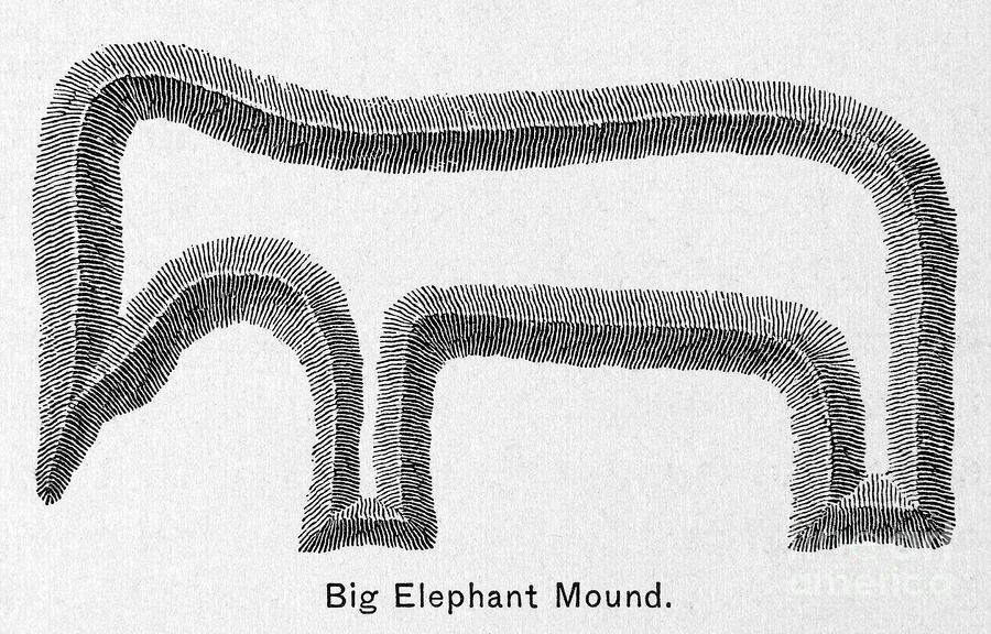 Elephant Mound Photograph by Granger