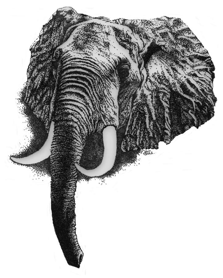 Elephant Drawing by Patrice Clarkson