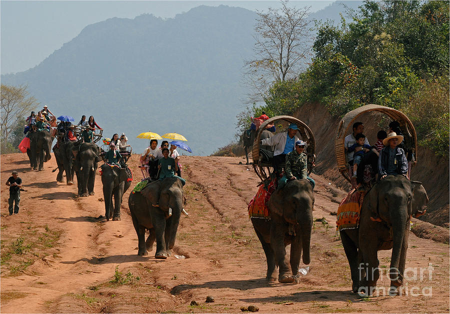 Elephant Rides Photograph by Vivian Christopher