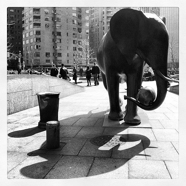 New York City Photograph - Elephant Sculpture In Columbus Circle by Arnab Mukherjee