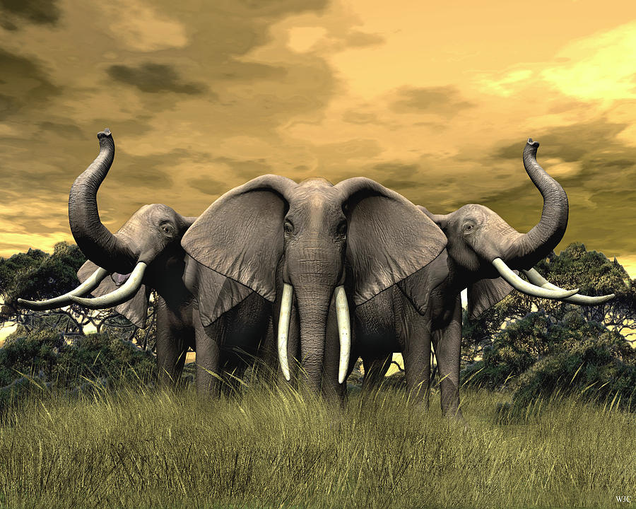 Elephant Stand Digital Art by Walter Colvin