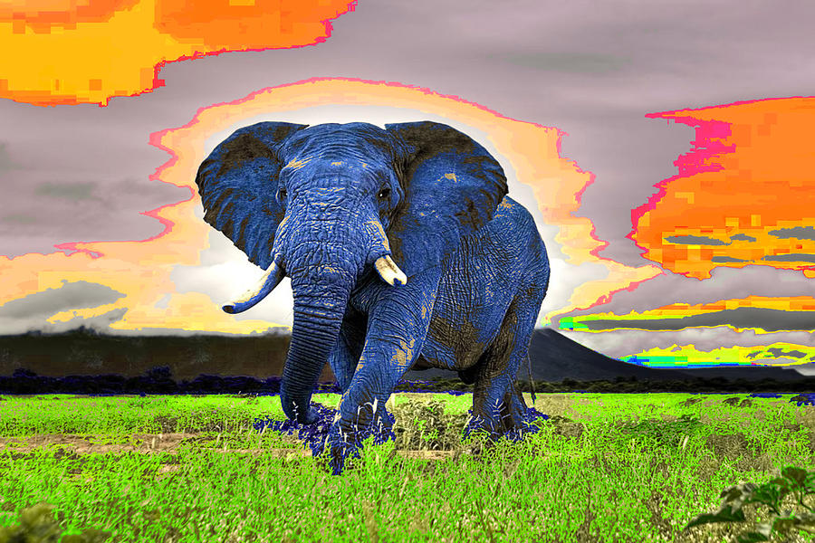 Chicago Digital Art - Elephantidae Diurnal by Jimi Bush