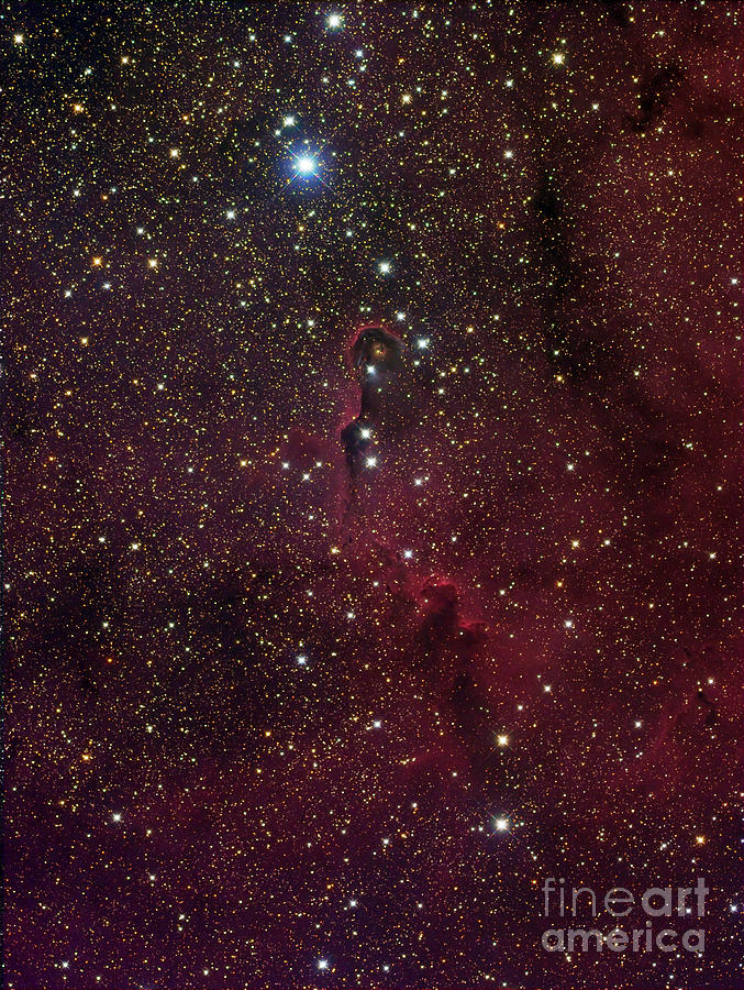 Interstellar Photograph - Elephants Trunk Nebula Inside Ic 1396 by Filipe Alves