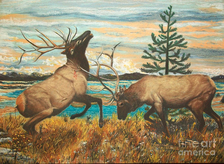 Animal Painting - Elk at Sunrise by Jim Barber Hove