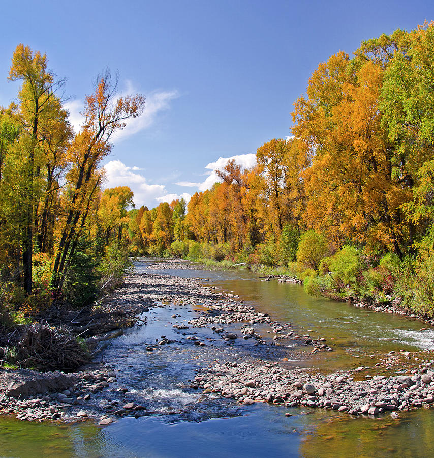 Elk Creek in Colorado Photograph by Lionel Harris