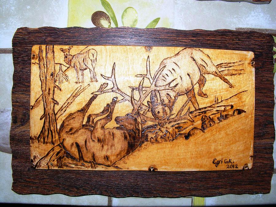 Elk Fightings-wood Pyrography Painting by Egri George-Christian