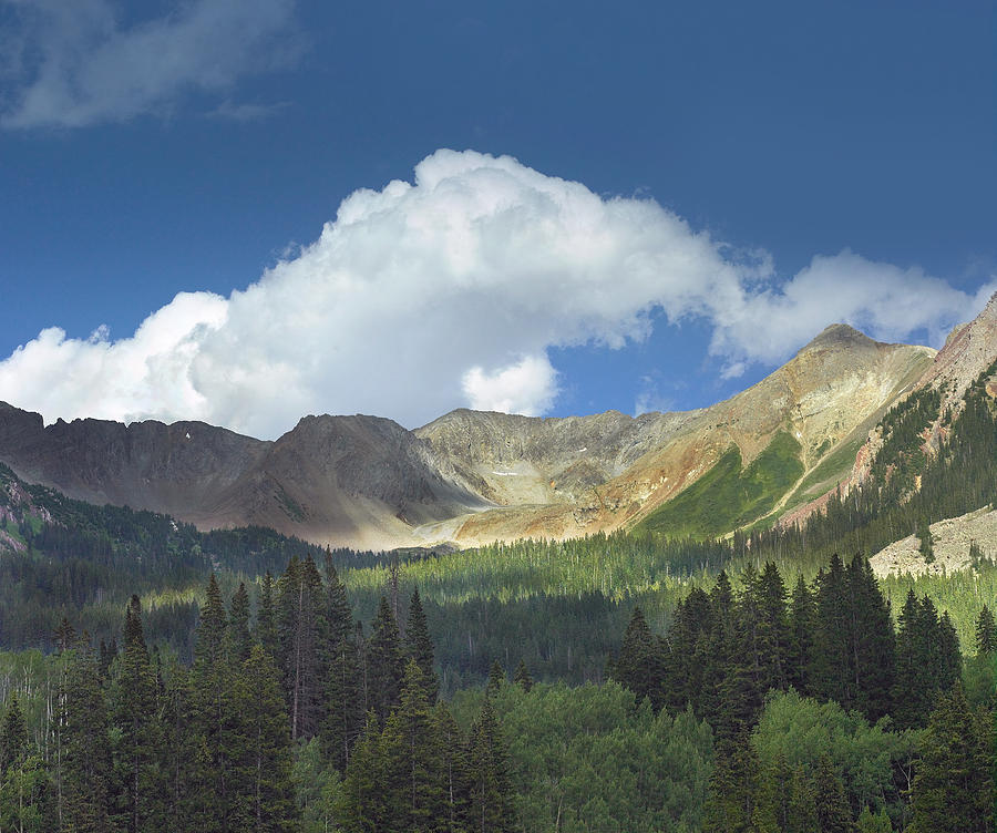 Elk Mountains Near Crested Butte Photograph by Tim Fitzharris