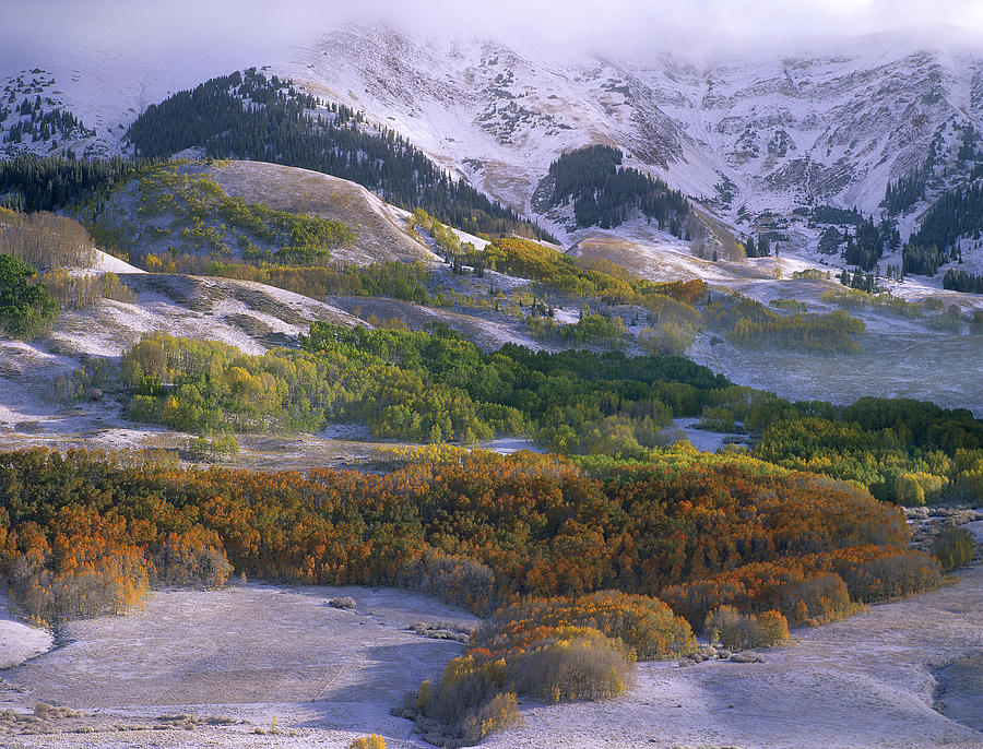 Elk Mountains With Dusting Of Snow Photograph by Tim Fitzharris