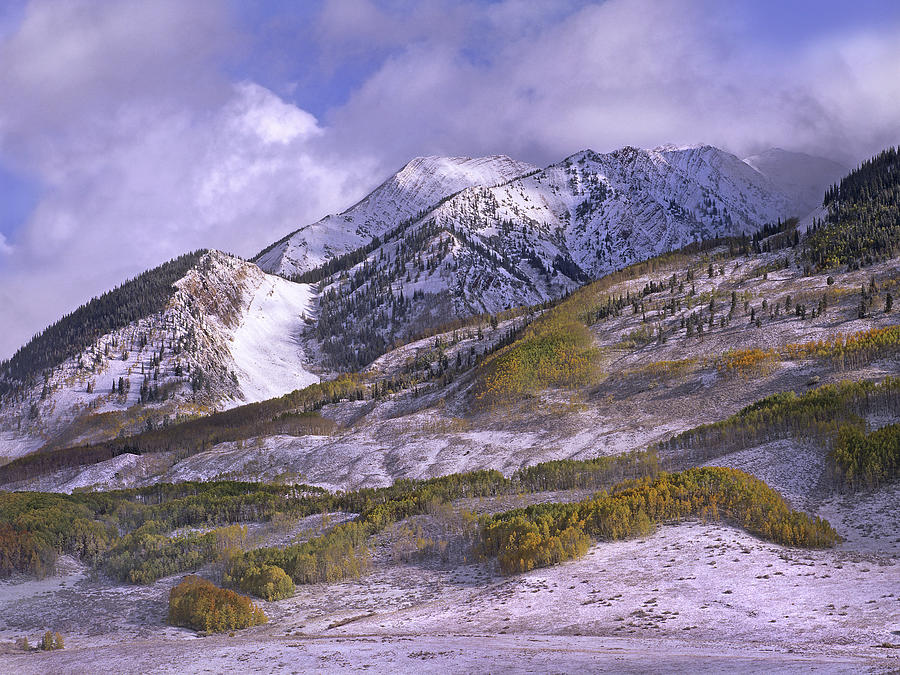 Elk Mountains With Snow In Autumn Photograph by Tim Fitzharris