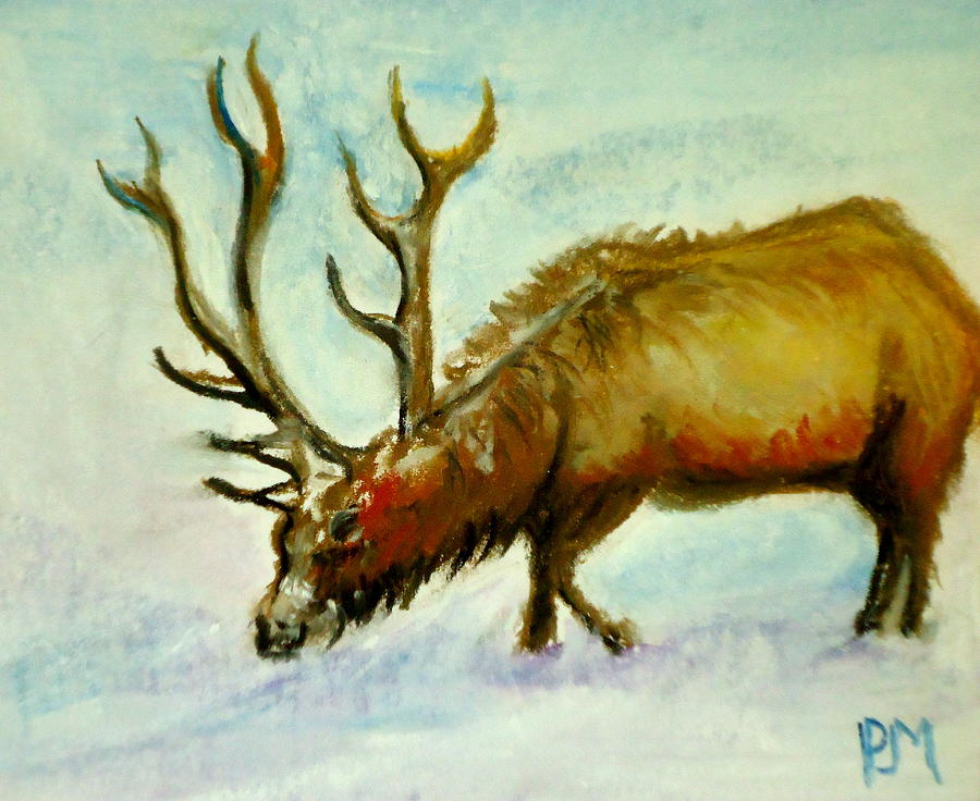 Wildlife Drawing - Elk by Pete Maier