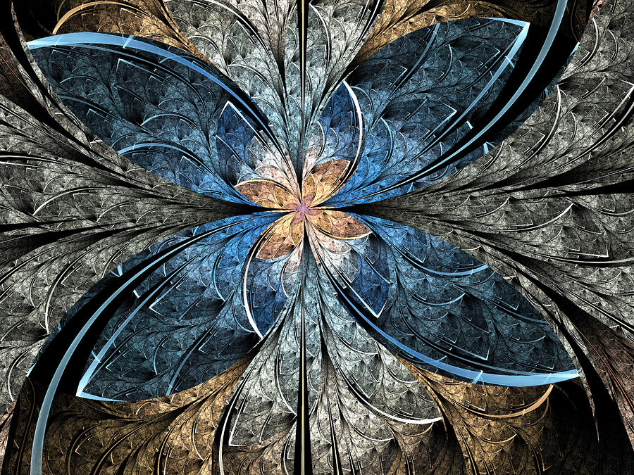 Elliptic Butterfly Digital Art by Pam Blackstone - Fine Art America