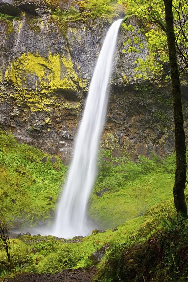 Elowah Falls In Columbia River Gorge National Scenic Area Photograph by ...