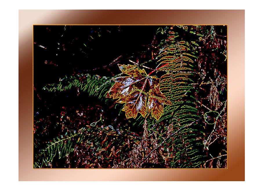 Elwha Leaf Photograph by Marie Jamieson