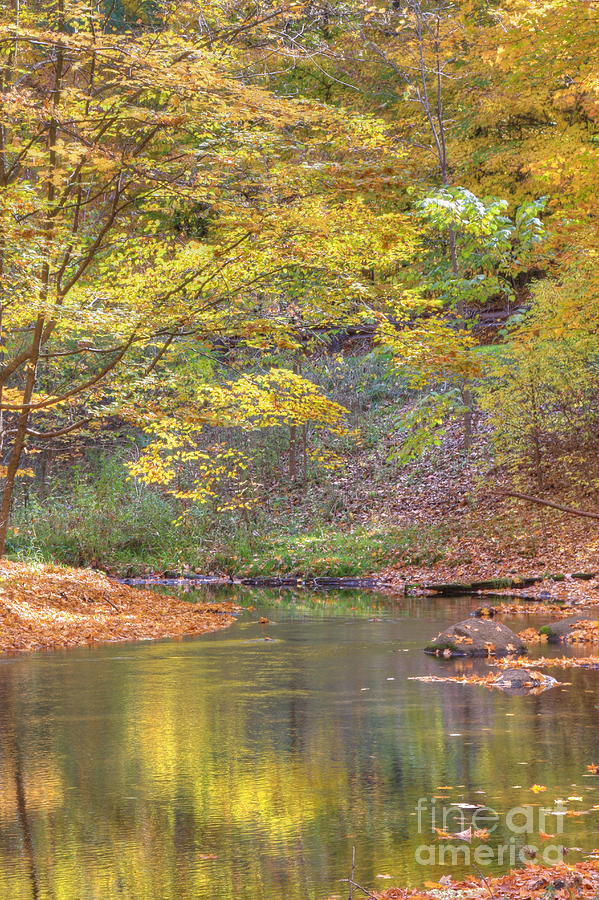 Fall Photograph - Emerald Creek by Robert Pearson