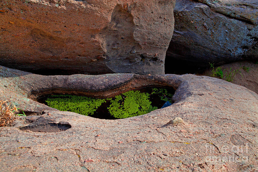 Rocks Photograph - Emerald Pool by Barbara Schultheis