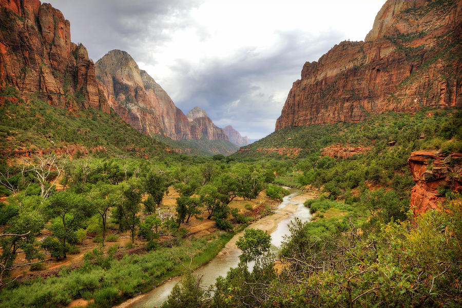 Emerald Pools Trail 2 Photograph by The Ecotone - Fine Art America