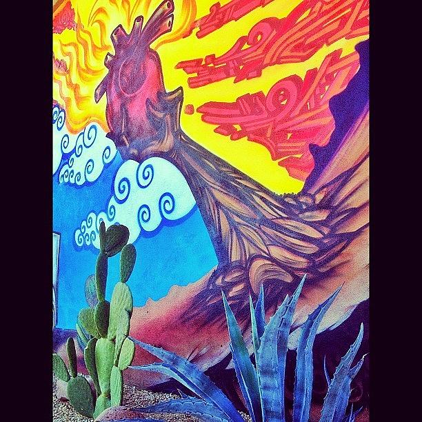 Phoenix Photograph - Emerging From The Depths Of The by CactusPete AZ