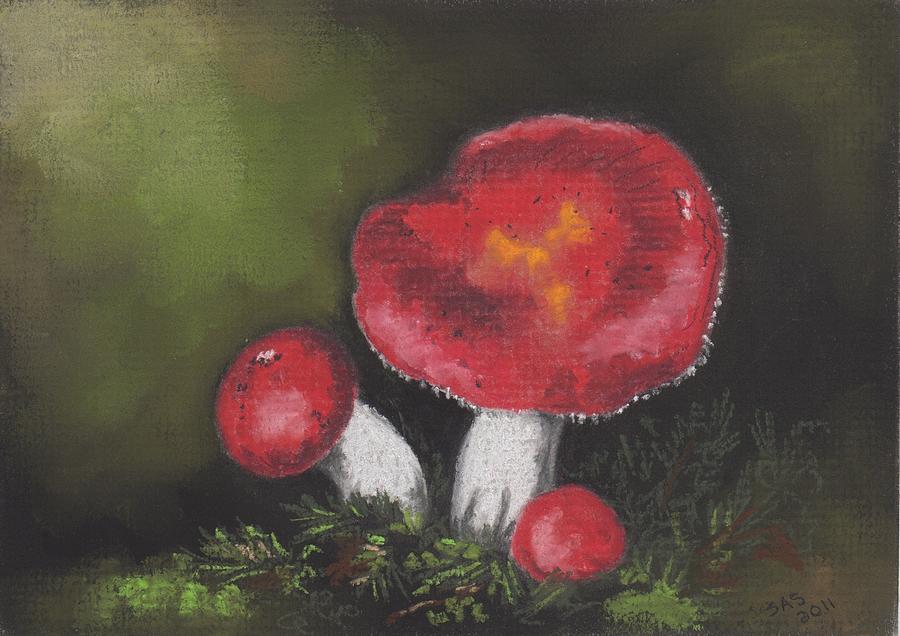 Mushroom Drawing - Emetic Russula by Sherri Strikwerda
