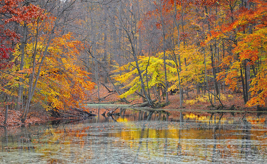 Emily Traphagen Preserve Photograph By Brian Mollenkopf Fine Art America